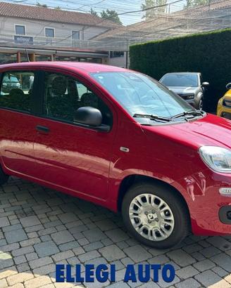 FIAT Panda 1.0 HYBRID ICON 5 posti KM 0