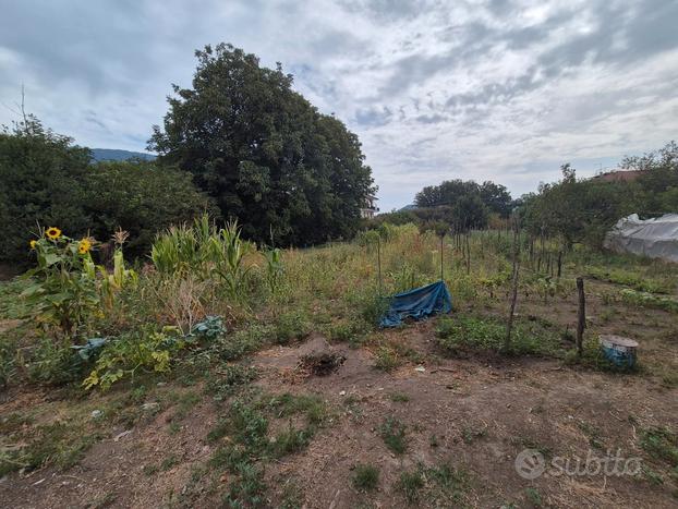 Terreno agricolo a Forino