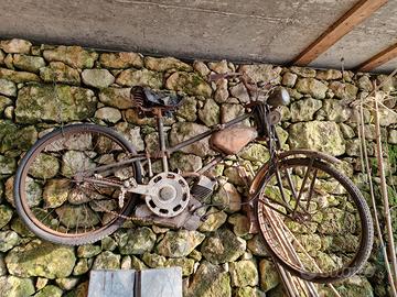 scooter cucciolo