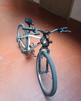 Mountain bike bimbo 24"