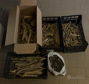 Legni e legnetti naturali raccolti al mare - Stok