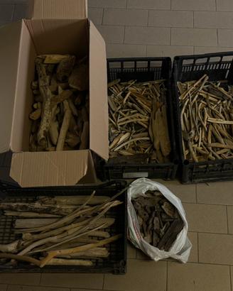 Legni e legnetti naturali raccolti al mare - Stok