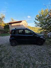Panda