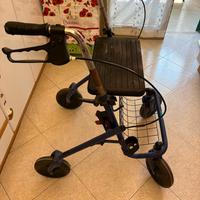 Carrello deambulatore