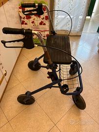Carrello deambulatore