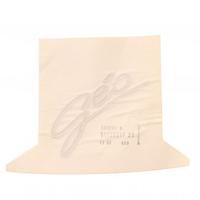 Adesivo Géo Peugeot SV 725317