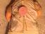 Immagine 4