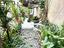 Immagine 7