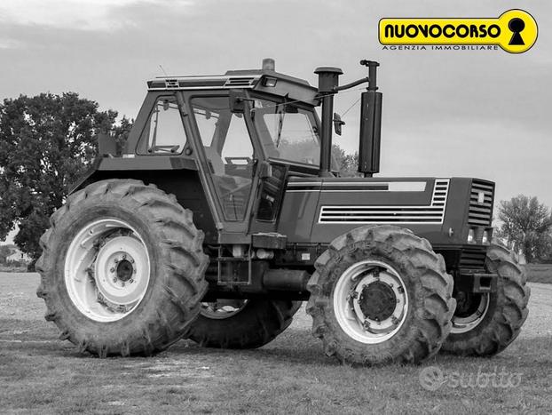 Canaro (RO) - Terreno agricolo di 24,5 Ettari con