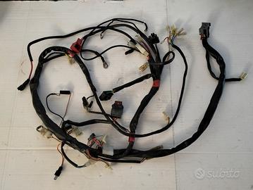 Cablaggio Aprilia RS 50 06/13 Derbi GPR 50