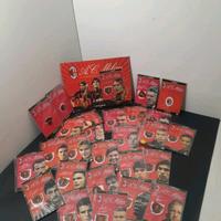 Spille Milan 2006-2007 collezione completa