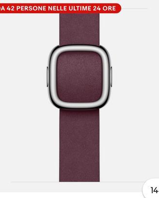 Cintolino apple watch