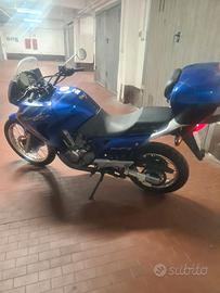 HondaTransalp 650
