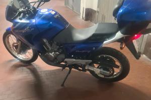 HondaTransalp 650