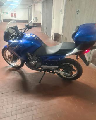 HondaTransalp 650