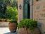 Immagine 30