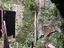 Immagine 19