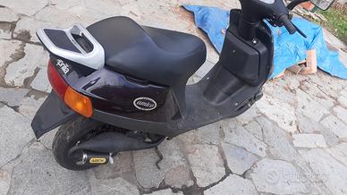 Aprilia amico Vendita in Moto e scooter