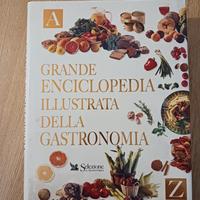 Grande enciclopedia illustrata della gastronomia