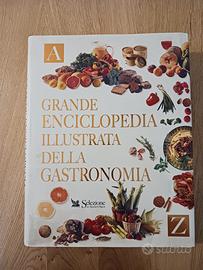 Grande enciclopedia illustrata della gastronomia