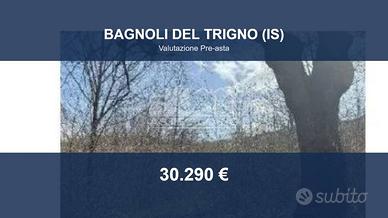 Immobile in asta di 52058 m² a Bagnoli del Trigno