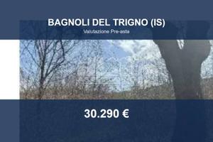 Immobile in asta di 52058 m² a Bagnoli del Trigno