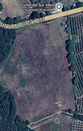 Terreno agricolo 5 ettari