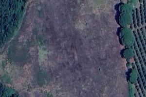 Terreno agricolo 5 ettari