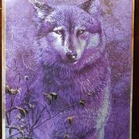 Poster Stampa laminata con lupo