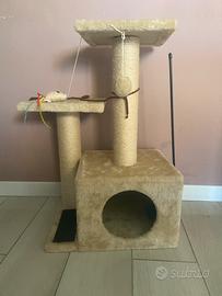 Tiragraffi x gatto