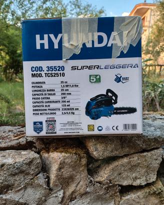 motosega e decespugliatore 