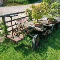 vecchia motofalciatrice