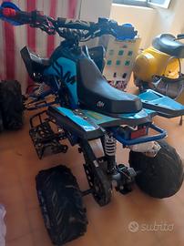 Altro modello - 2023