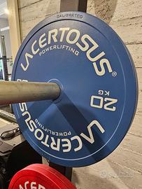 Coppia dischi 20kg Powerlifting 