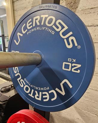 Coppia dischi 20kg Powerlifting 
