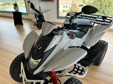 Quat Atv DINLI 350