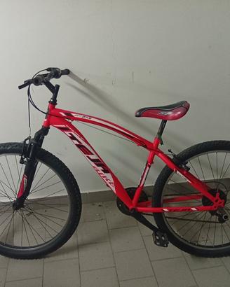 bici iteja 