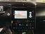 Immagine 13