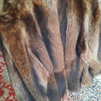 Pelliccia di marmotta artica