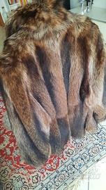 Pelliccia di marmotta artica