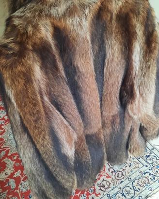 Pelliccia di marmotta artica