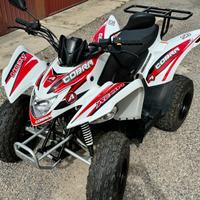 Quad 50cc Aeon Cobra ciclomotore 230km