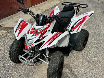 Quad 50cc Aeon Cobra ciclomotore 230km