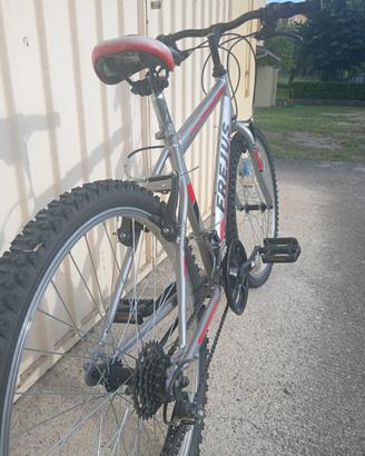 Bicicletta