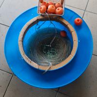 palamito x orate e saraghi+cesta 