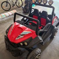 Auto Elettrica per Bambini New Polar 24V 2 Posti c