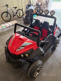 Auto Elettrica per Bambini New Polar 24V 2 Posti c