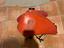 Immagine 3