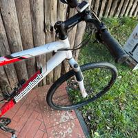 Mountain bike diamondback