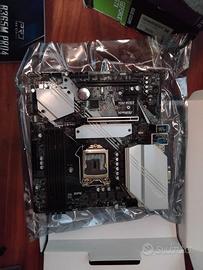 Scheda Madre/CPU/GPU/Dissipatore CPU